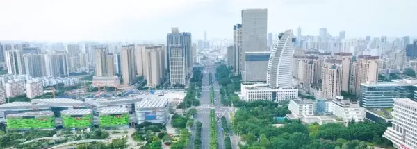 丽晶港的房子怎么样(2)