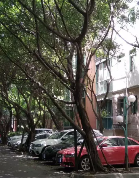 怡丰新城什么时候建的(10)