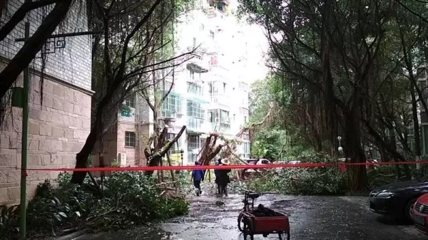 怡丰新城什么时候建的(11)