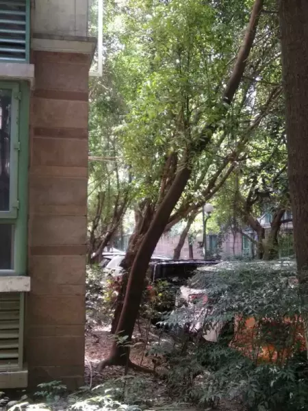 怡丰新城什么时候建的(16)