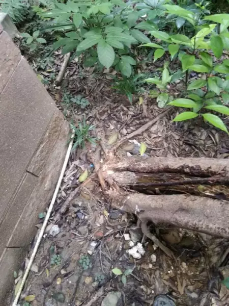 怡丰新城什么时候建的(17)
