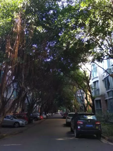 怡丰新城什么时候建的(19)