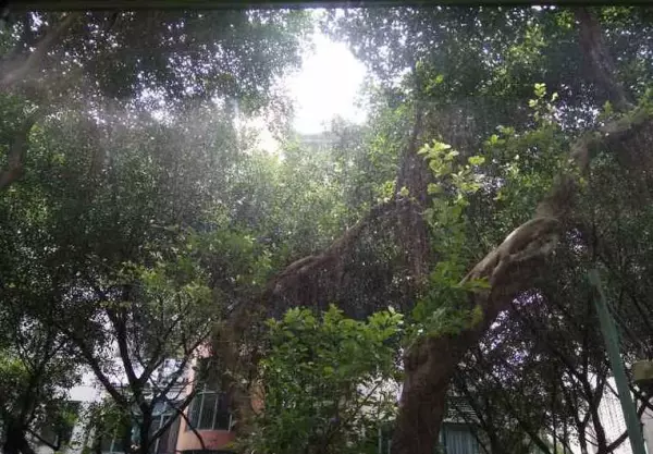 怡丰新城什么时候建的(28)