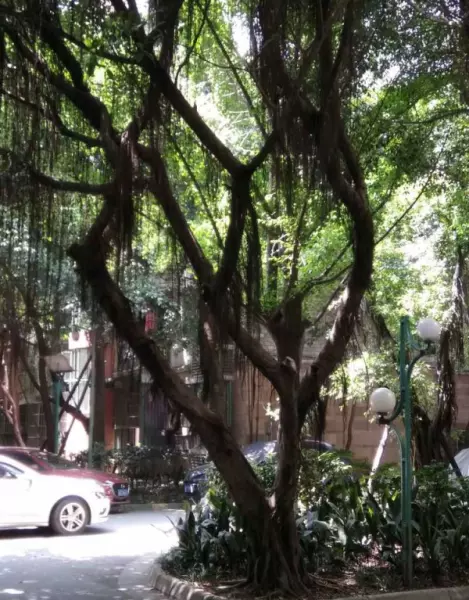 怡丰新城什么时候建的(34)
