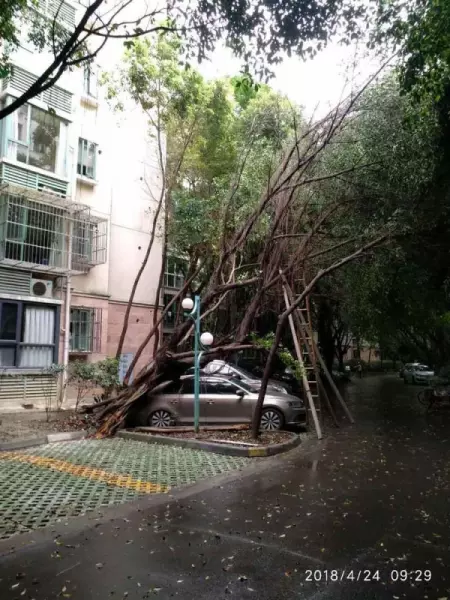 怡丰新城什么时候建的(3)