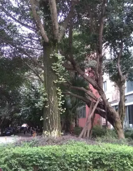怡丰新城什么时候建的(4)