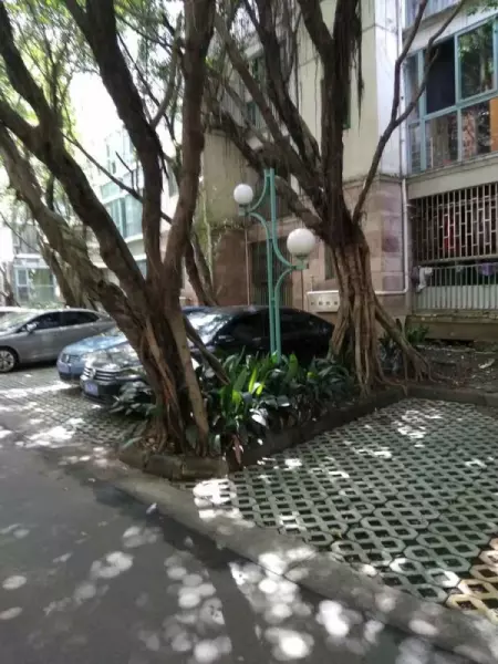 怡丰新城什么时候建的(7)