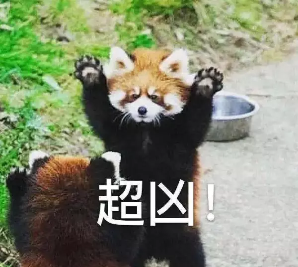 门前大桥下我爸是傻瓜这么晚还不回家是不是欠揍啦(41)