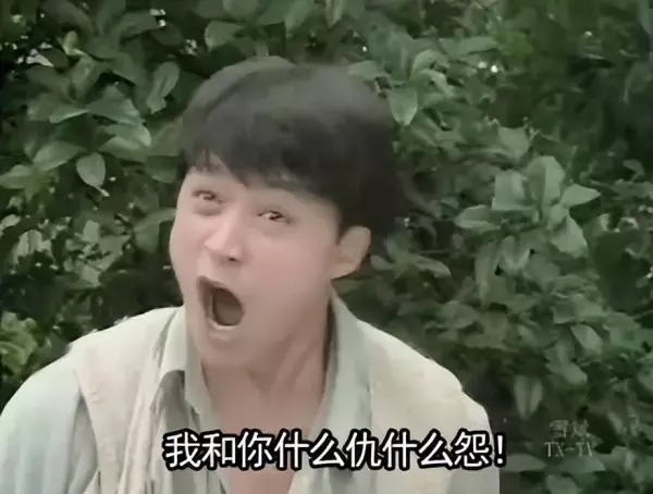 门前大桥下我爸是傻瓜这么晚还不回家是不是欠揍啦(51)