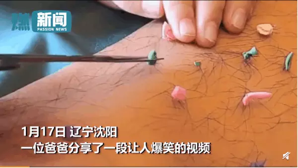 门前大桥下我爸是傻瓜这么晚还不回家是不是欠揍啦(6)