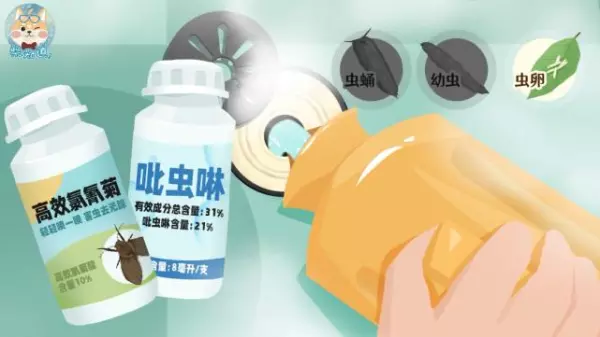 蚤蝇是外来飞虫还是内部滋生的(11)