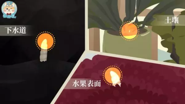 蚤蝇是外来飞虫还是内部滋生的(15)