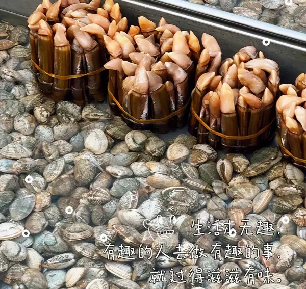 大连赶集的地方在哪(10)