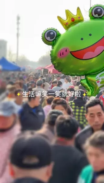 大连赶集的地方在哪(13)