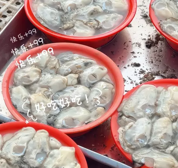大连赶集的地方在哪(9)