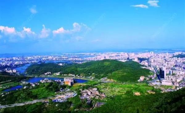 广东省占地面积最大的城市有几个(2)