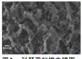 固含量和活性物含量有没有关系(3)