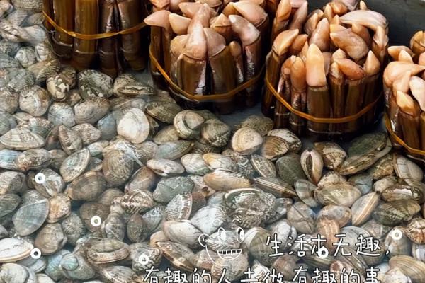 大连赶集的地方在哪.
