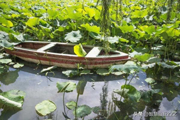 一什么小艇一什么浮萍一什么小娃.