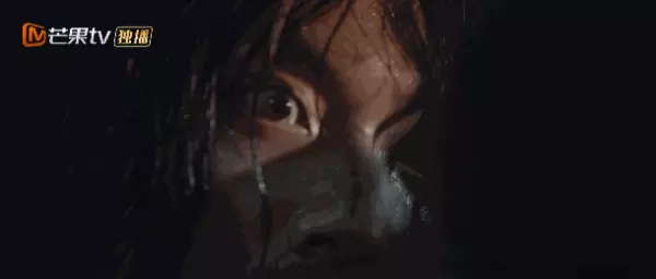 十九层一共有多少集(41)