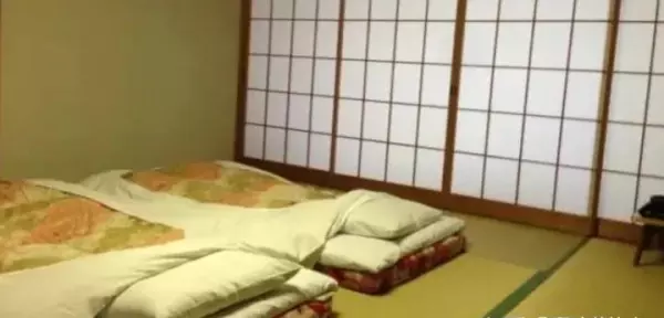 1:榻榻米的日本名称叫什么(8)