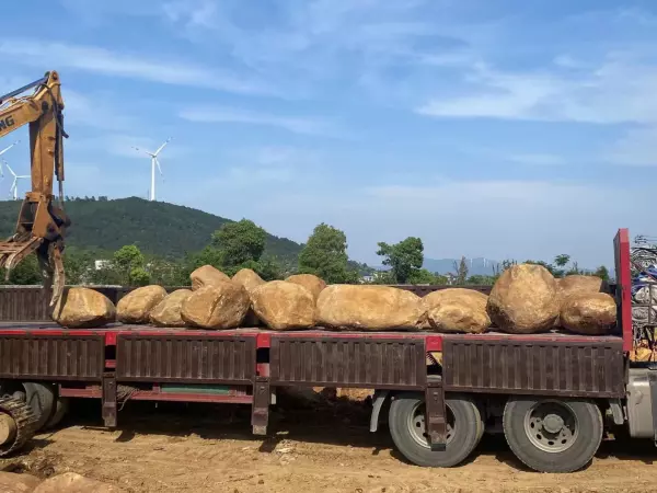 园林景观石头的名称有哪些(3)