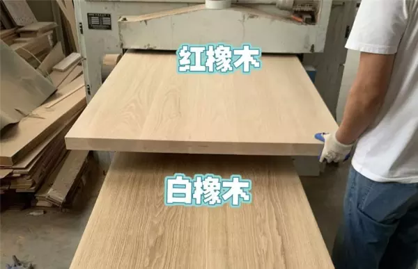 白橡木和红橡木的区别(7)