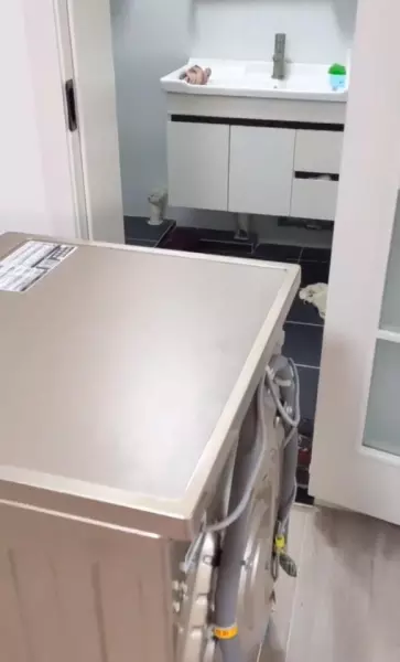 门洞尺寸和门扇尺寸是怎么算的(7)