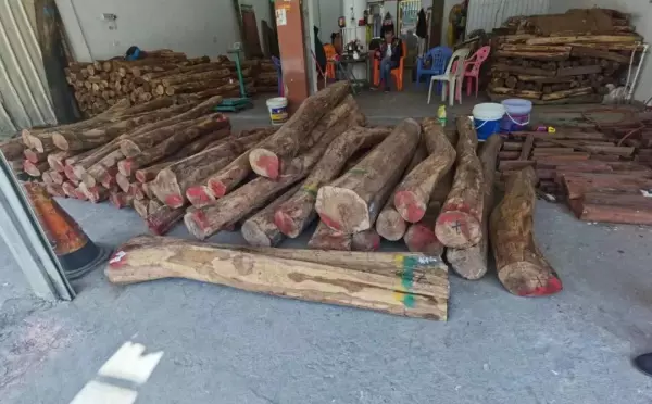 家具哪里的产地最好最便宜(1)