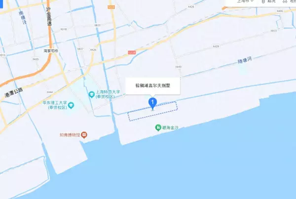 上海奉贤区别墅价格(1)