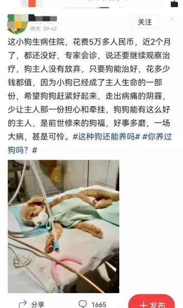 打石膏要多少钱可以刷医保吗(3)