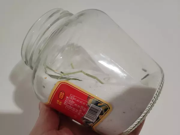 如果仓鼠没有浴沙可以用什么代替(2)
