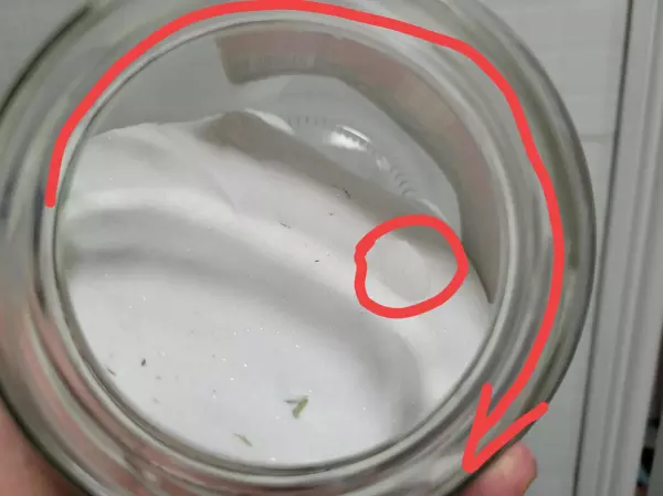 如果仓鼠没有浴沙可以用什么代替(4)
