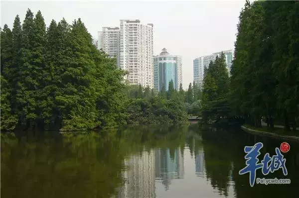 广州华港花园二手房最新价格(8)