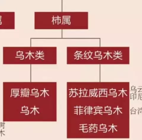 非洲乌木有什么用途和价值(5)