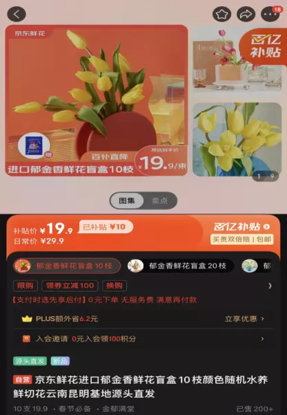 郁金香多少钱一支价格(2)