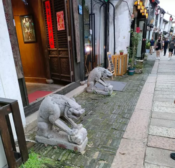 石珠成排问事宜指什么动物(1)