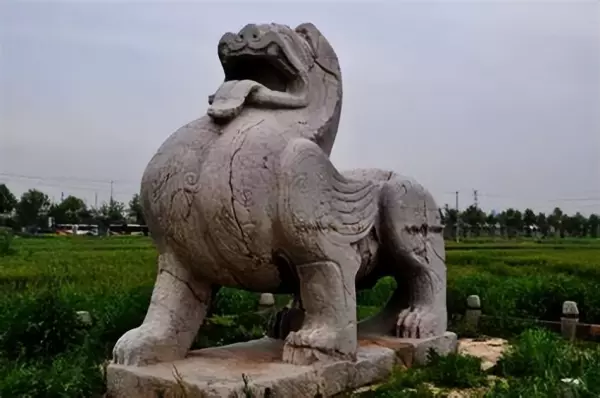 石珠成排问事宜指什么动物(2)