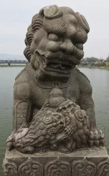 石珠成排问事宜指什么动物(4)