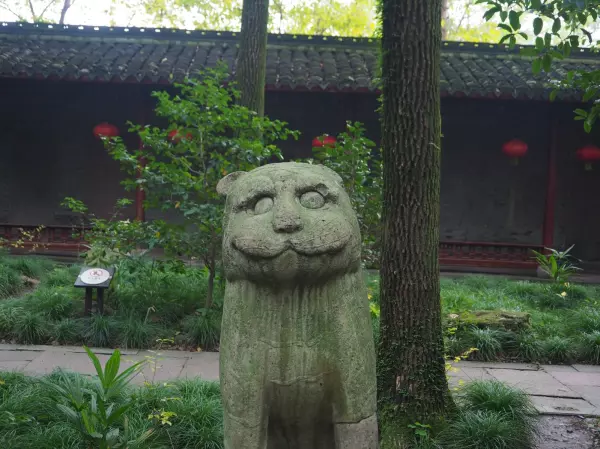 石珠成排问事宜指什么动物(6)