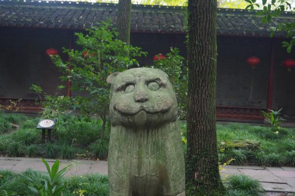 石珠成排问事宜指什么动物.