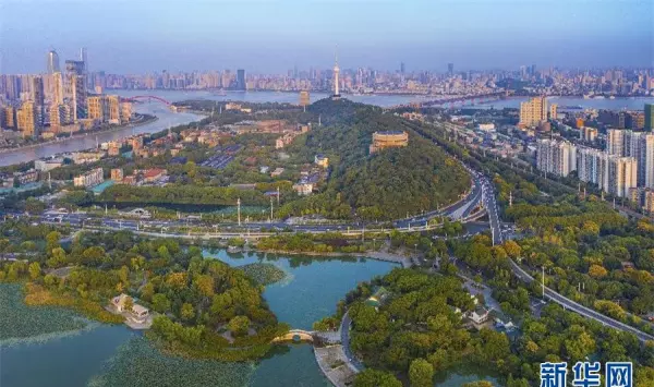 武汉市占地面积约8600公顷对吗(3)