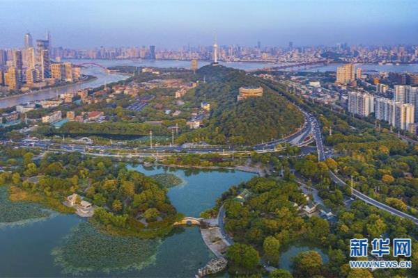 武汉市占地面积约8600公顷对吗.