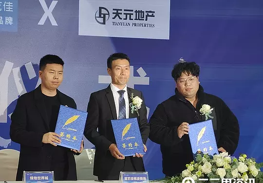 星艺佳和红星美凯龙什么关系(10)