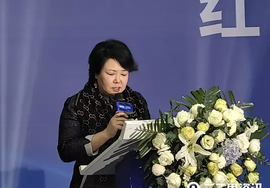 星艺佳和红星美凯龙什么关系(4)