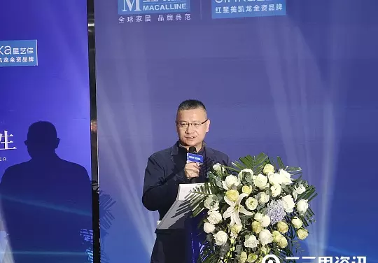 星艺佳和红星美凯龙什么关系(5)