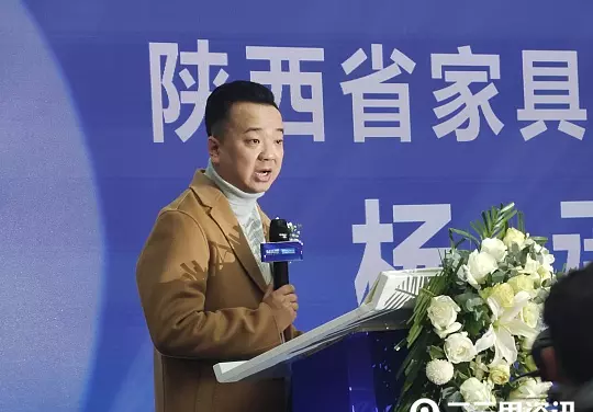 星艺佳和红星美凯龙什么关系(8)