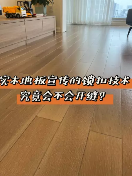 林豹地板厂家在哪里(7)