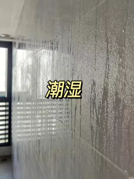 朝北的房子从早到晚都晒不到太阳吗(2)