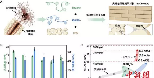 建筑新材料需要经过什么研究(2)